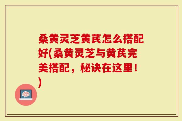 桑黄灵芝黄芪怎么搭配好(桑黄灵芝与黄芪完美搭配，秘诀在这里！)