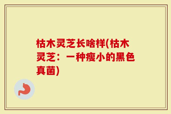 枯木灵芝长啥样(枯木灵芝：一种瘦小的黑色真菌)
