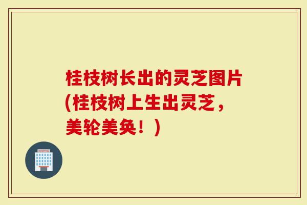 桂枝树长出的灵芝图片(桂枝树上生出灵芝,美轮美奂!)-第1张图片-灵芝大师 桂枝树长出的灵芝图片(桂枝树上生出灵芝,美轮美奂!)-第1张图片-灵芝大师