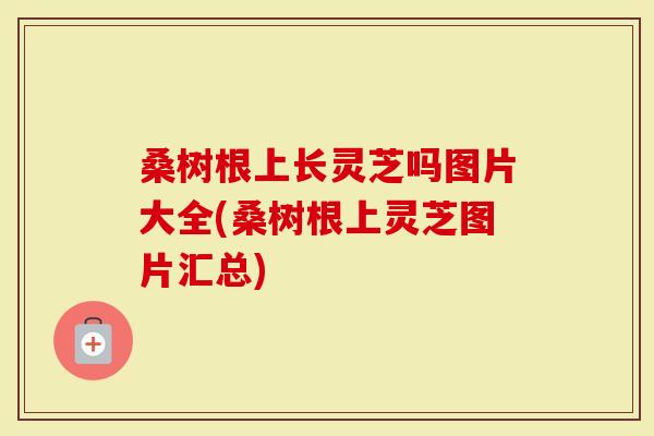 桑树根上长灵芝吗图片大全(桑树根上灵芝图片汇总)