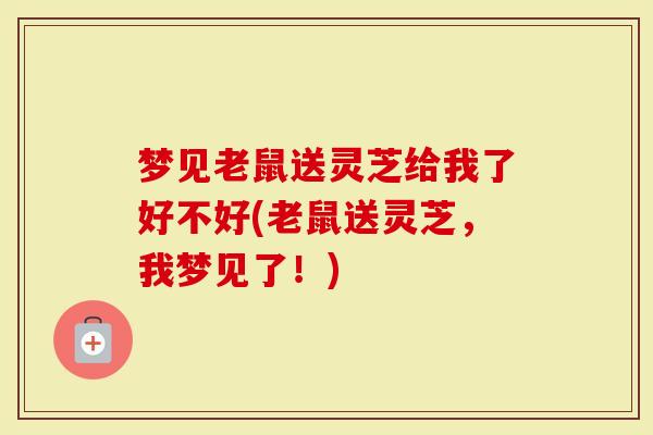 梦见老鼠送灵芝给我了好不好(老鼠送灵芝，我梦见了！)