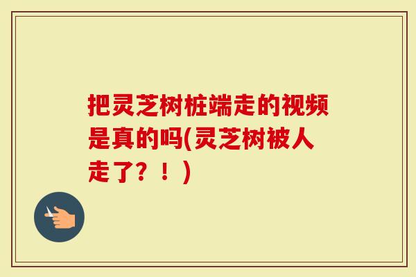 把灵芝树桩端走的视频是真的吗(灵芝树被人走了?!)-第1张图片-灵芝大师 把灵芝树桩端走的视频是真的吗(灵芝树被人走了?!)-第1张图片-灵芝大师