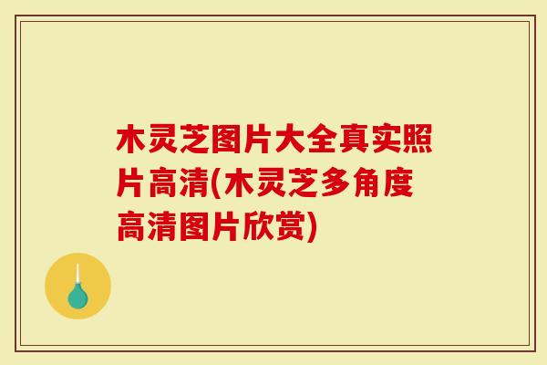 木灵芝图片大全真实照片高清(木灵芝多角度高清图片欣赏)