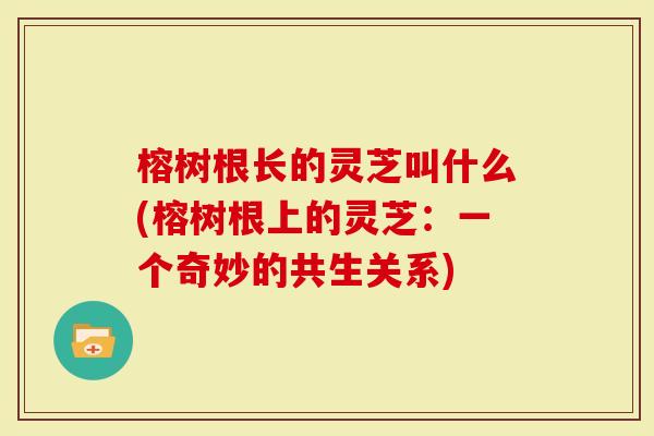榕树根长的灵芝叫什么(榕树根上的灵芝：一个奇妙的共生关系)