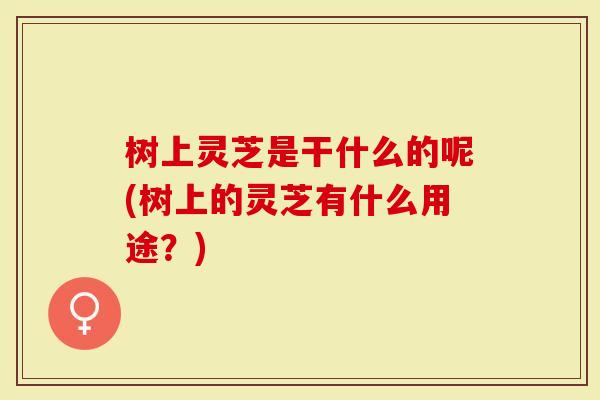 树上灵芝是干什么的呢(树上的灵芝有什么用途？)