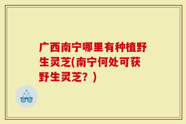 广西南宁哪里有种植野生灵芝(南宁何处可获野生灵芝?)-第1张图片-灵芝大师 广西南宁哪里有种植野生灵芝(南宁何处可获野生灵芝?)-第1张图片-灵芝大师