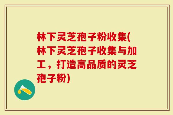 林下灵芝孢子粉收集(林下灵芝孢子收集与加工，打造高品质的灵芝孢子粉)