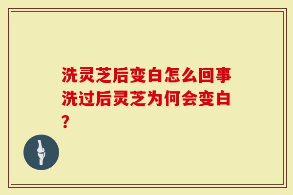 洗灵芝后变白怎么回事洗过后灵芝为何会变白？