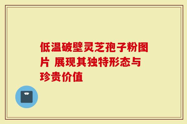 低温破壁灵芝孢子粉图片 展现其独特形态与珍贵价值