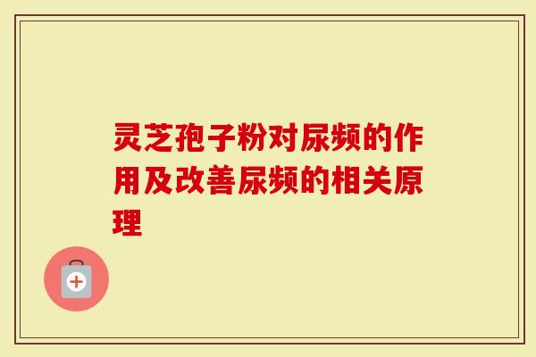 灵芝孢子粉对尿频的作用及改善尿频的相关原理