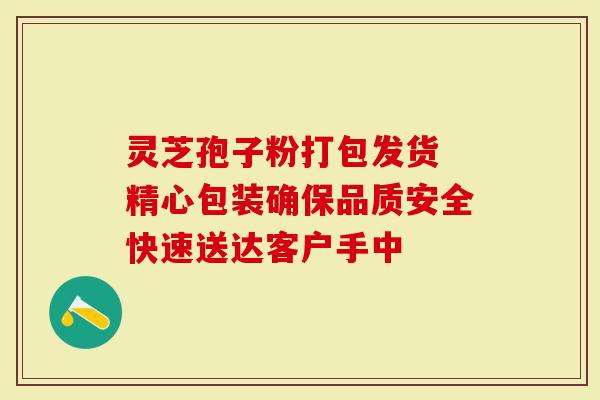 灵芝孢子粉打包发货 精心包装确保品质安全快速送达客户手中
