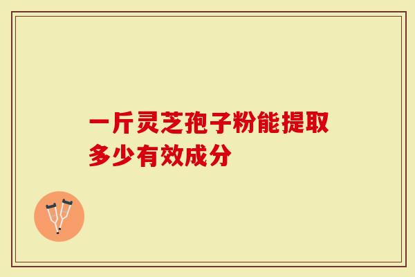 一斤灵芝孢子粉能提取多少有效成分