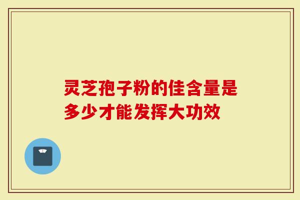 灵芝孢子粉的佳含量是多少才能发挥大功效
