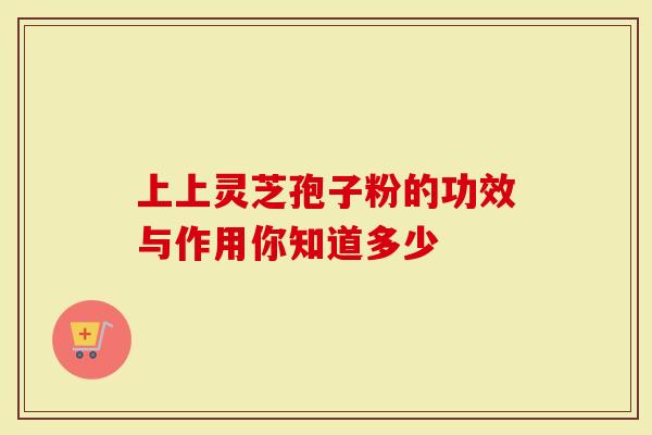 上上灵芝孢子粉的功效与作用你知道多少