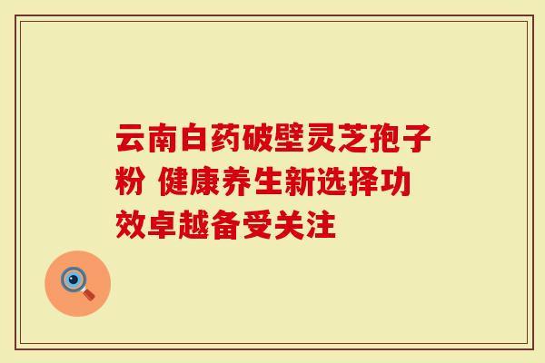 云南白药破壁灵芝孢子粉 健康养生新选择功效卓越备受关注