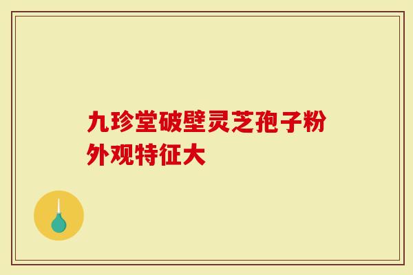 九珍堂破壁灵芝孢子粉外观特征大