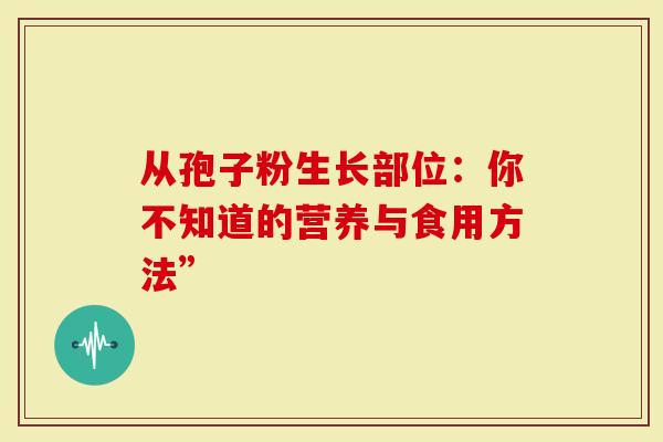 从孢子粉生长部位：你不知道的营养与食用方法”