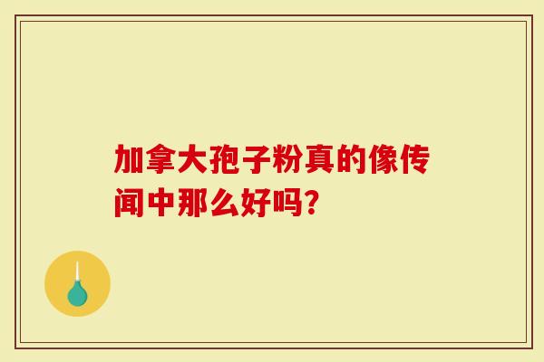 加拿大孢子粉真的像传闻中那么好吗？