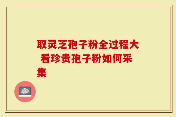取灵芝孢子粉全过程大 看珍贵孢子粉如何采集