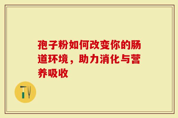 孢子粉如何改变你的肠道环境，助力消化与营养吸收