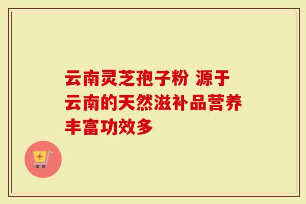 云南灵芝孢子粉 源于云南的天然滋补品营养丰富功效多