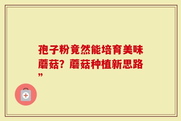 孢子粉竟然能培育美味蘑菇？蘑菇种植新思路”