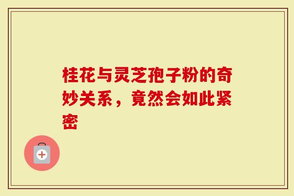 桂花与灵芝孢子粉的奇妙关系，竟然会如此紧密