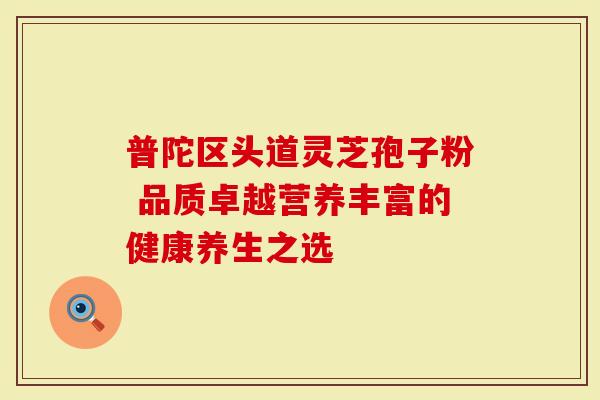 普陀区头道灵芝孢子粉 品质卓越营养丰富的健康养生之选
