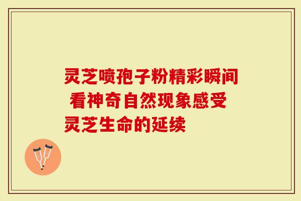 灵芝喷孢子粉精彩瞬间 看神奇自然现象感受灵芝生命的延续